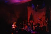 Live Shots
